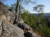 2016-10-09 Les gorges d Apremont 0058